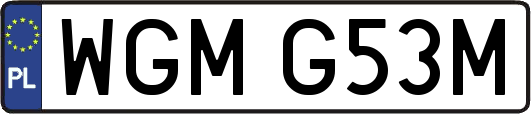 WGMG53M