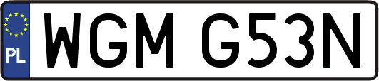 WGMG53N