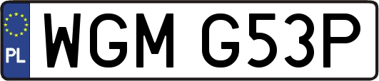 WGMG53P