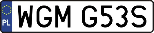 WGMG53S