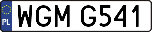 WGMG541