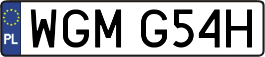 WGMG54H