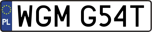 WGMG54T