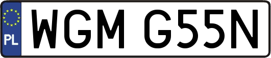 WGMG55N