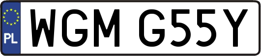 WGMG55Y