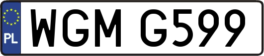 WGMG599