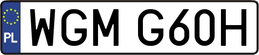 WGMG60H