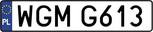 WGMG613