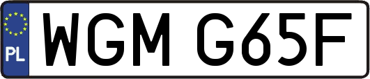 WGMG65F