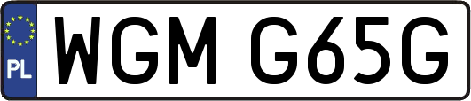WGMG65G