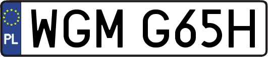 WGMG65H