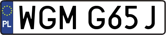 WGMG65J