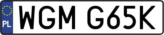 WGMG65K