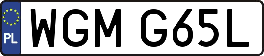 WGMG65L