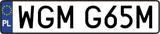 WGMG65M