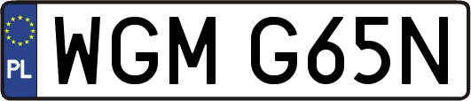 WGMG65N