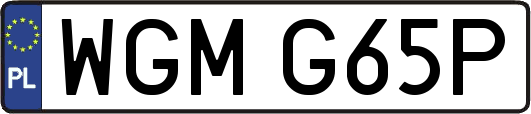 WGMG65P
