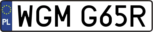 WGMG65R