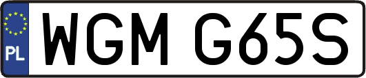 WGMG65S