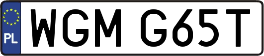 WGMG65T
