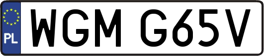WGMG65V