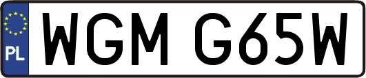 WGMG65W