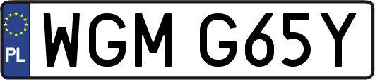 WGMG65Y