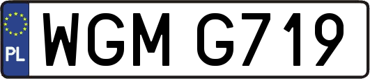WGMG719