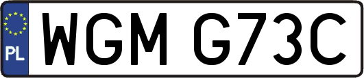WGMG73C