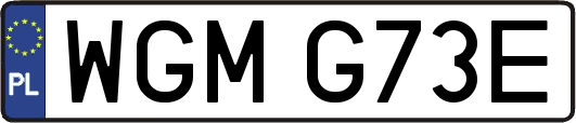 WGMG73E