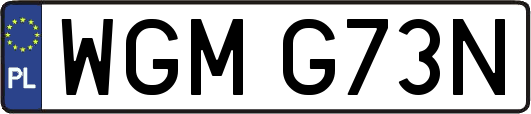 WGMG73N