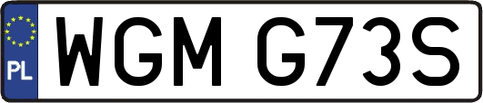 WGMG73S