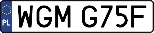 WGMG75F