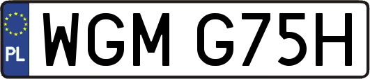 WGMG75H
