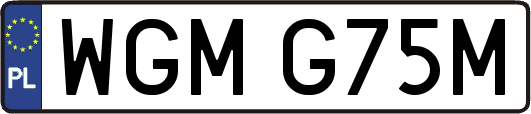 WGMG75M