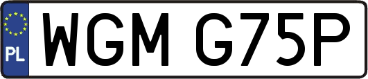 WGMG75P