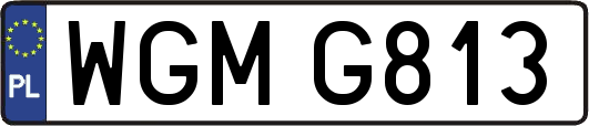WGMG813