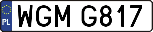 WGMG817