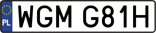 WGMG81H