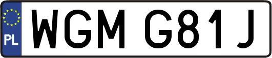 WGMG81J