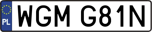 WGMG81N