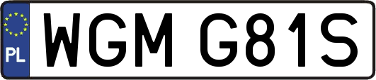 WGMG81S