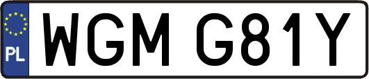 WGMG81Y
