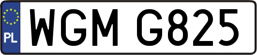 WGMG825