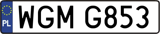 WGMG853