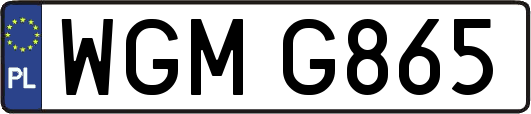 WGMG865