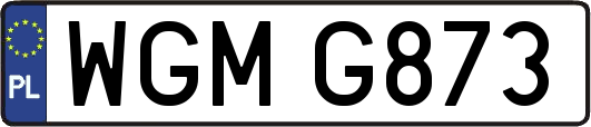 WGMG873
