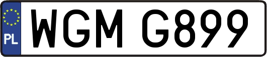 WGMG899