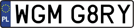 WGMG8RY
