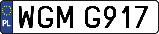 WGMG917